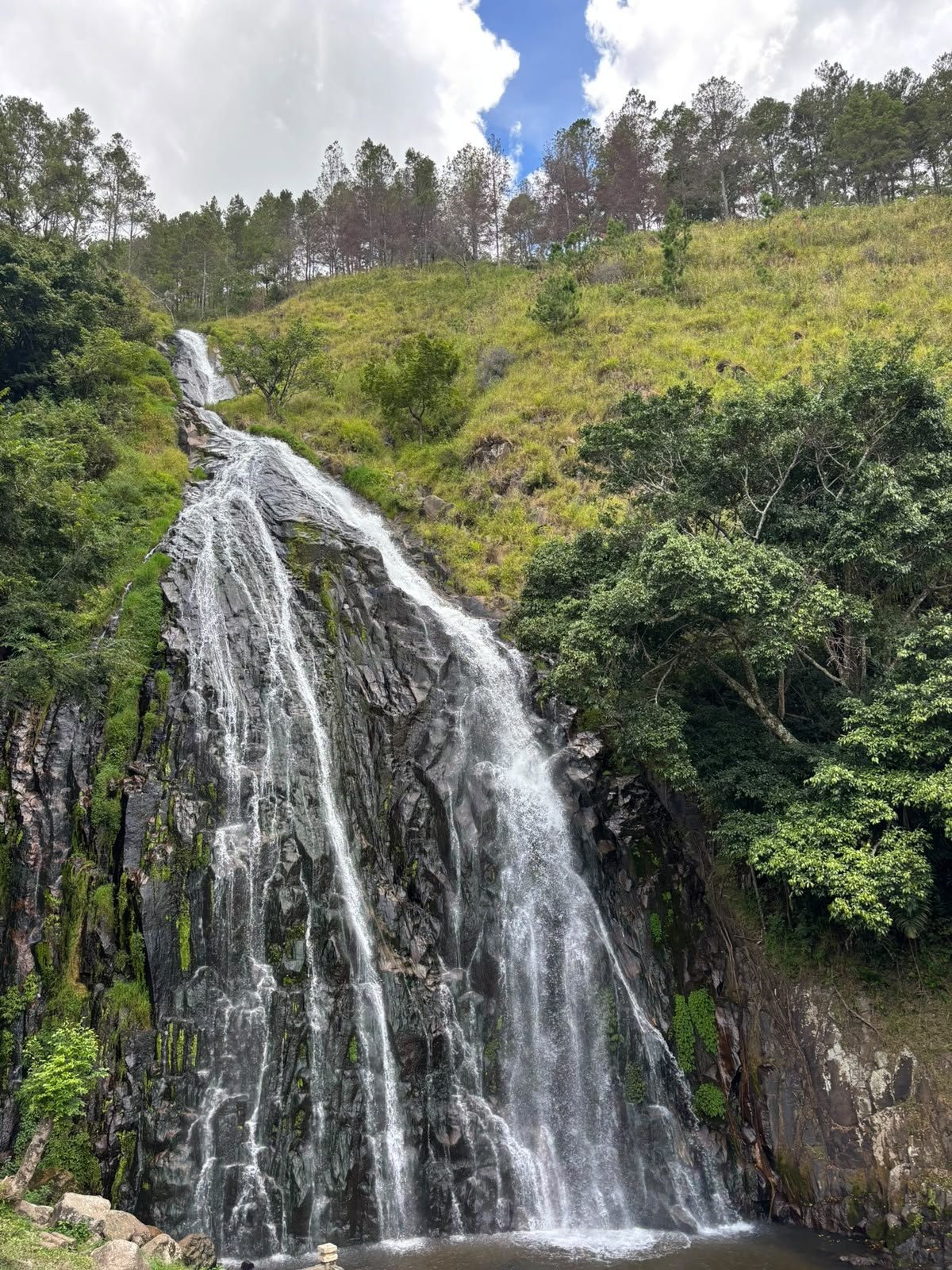 A waterfall on a green hillside. Water fans across the rock face, surrounded by trees and grass.