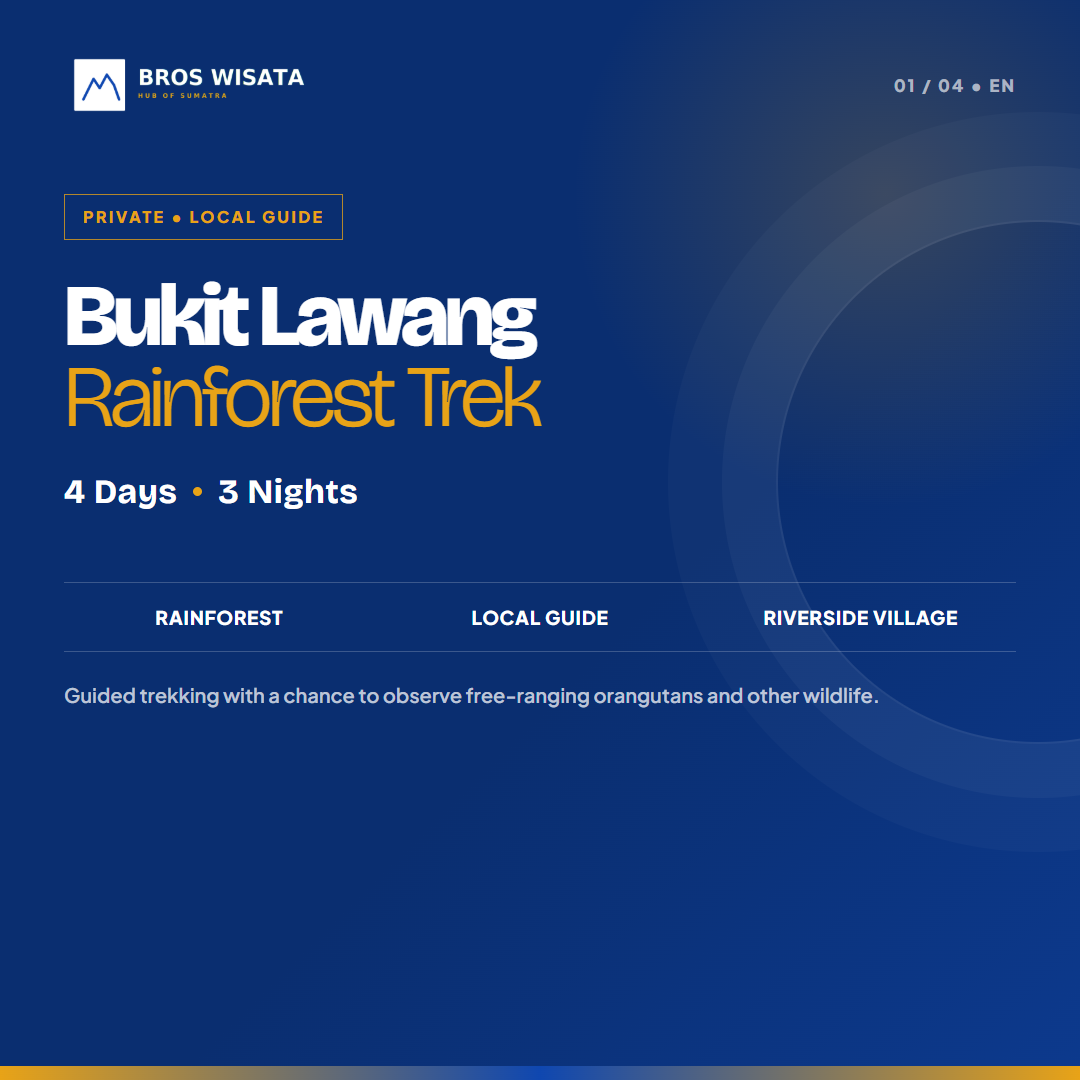 BUKIT LAWANG RAINFOREST TREK