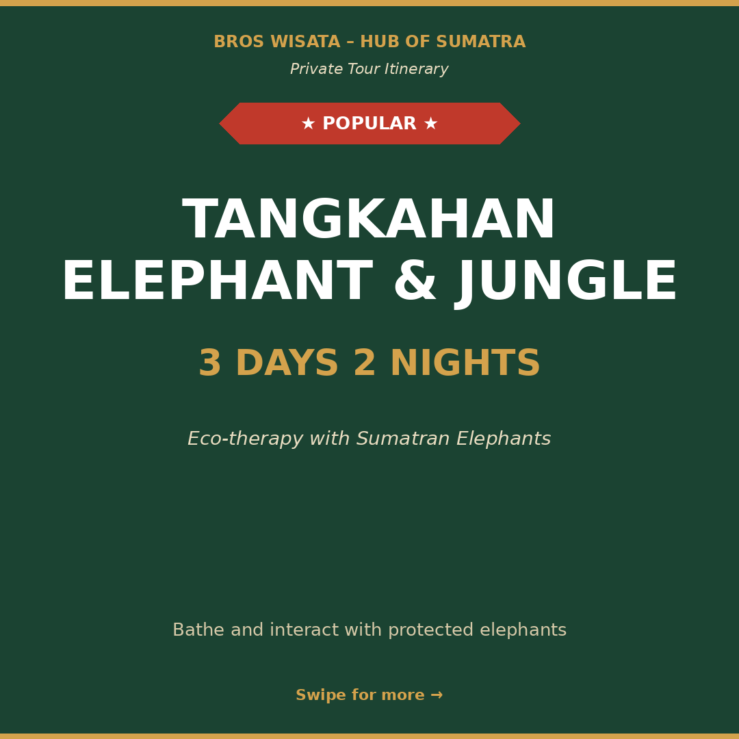 TANGKAHAN ELEPHANT & JUNGLE