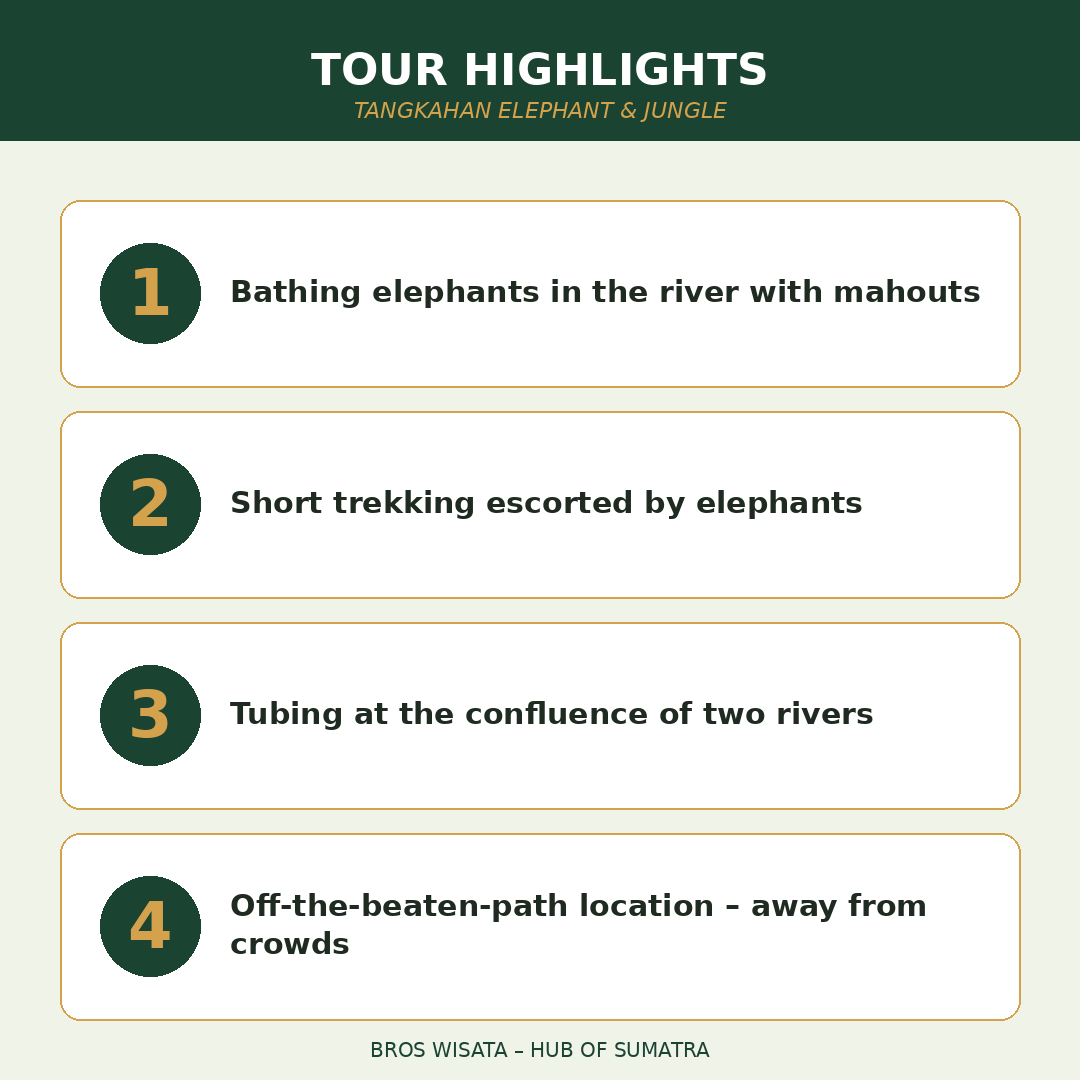 Highlights